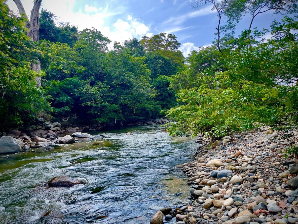 Tayrona Suites 埃尔扎伊诺 外观 照片